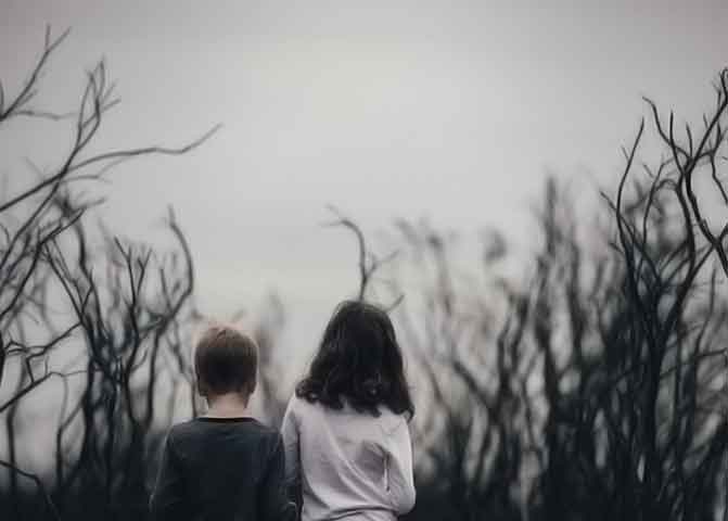 网站攻击软件工具